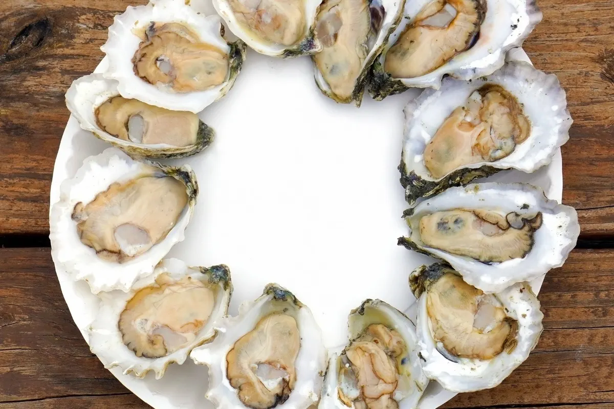 Sweetwater Oyster Bar